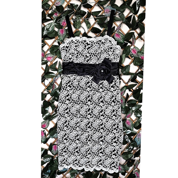 R&M Richards Dresses & Skirts - 49) R&M RICHARDS Lace Dress Sz. 8